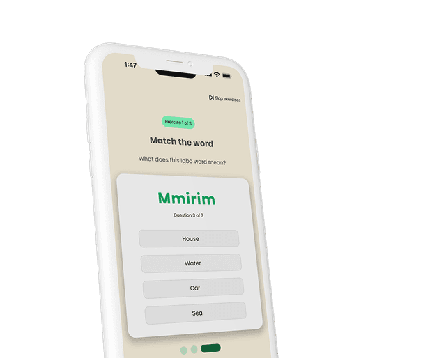 LangMaster app lesson screen