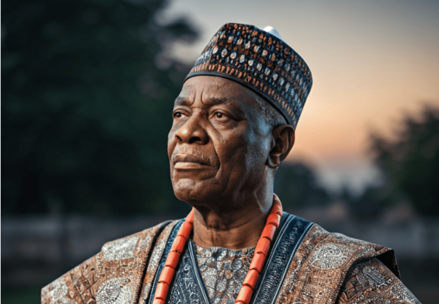 LangMaster African language and culture